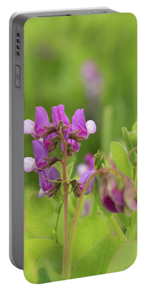Beach Peas Portable Battery Charger featuring the photograph A Day at the Beach by Holly Ross
