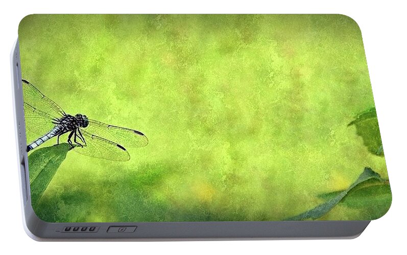 Dragonfly Portable Battery Charger featuring the photograph A Day In The Swamp by Mark Fuller