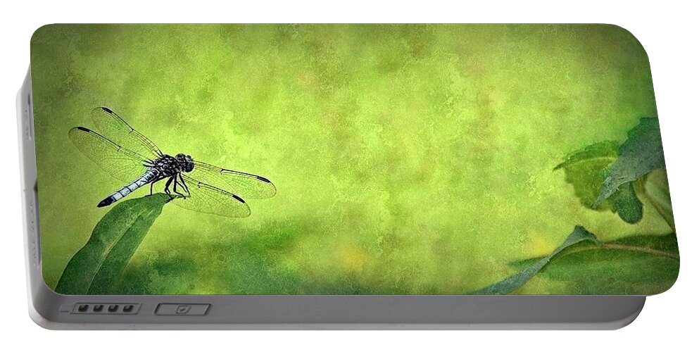 Dragonfly Portable Battery Charger featuring the photograph A Day In The Swamp by Mark Fuller