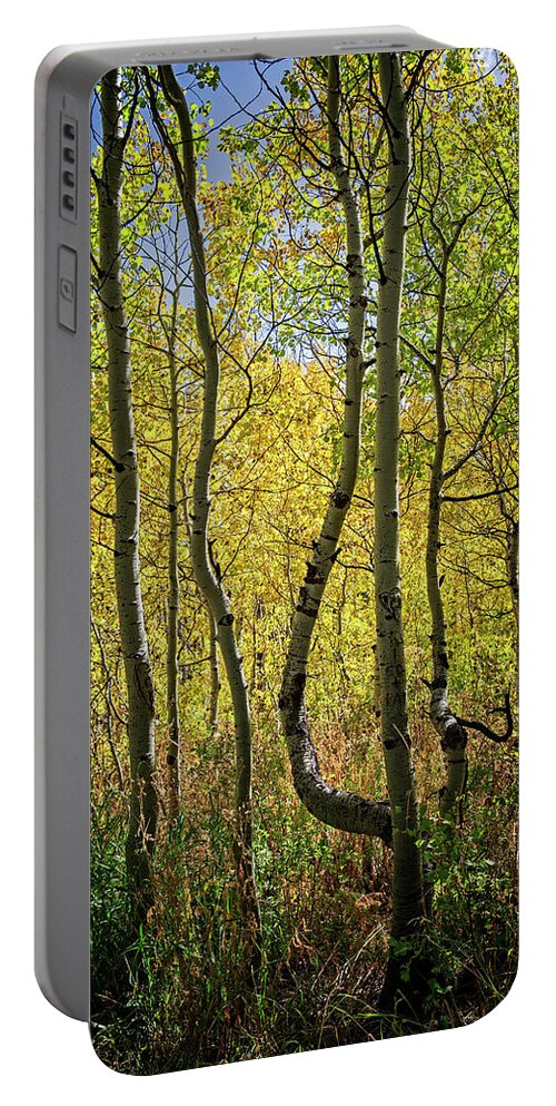 Woods Portable Battery Charger featuring the photograph A Day In The Woods by Scott Read