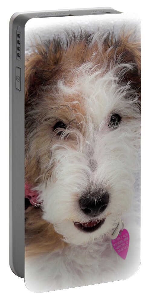 Wire Fox Terrier Portable Battery Charger featuring the photograph A Dog Named Butterfly by Karen Wiles