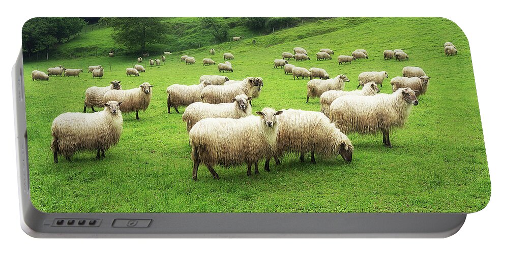 Sheep Portable Battery Charger featuring the photograph A flock of sheep by Mikel Martinez de Osaba