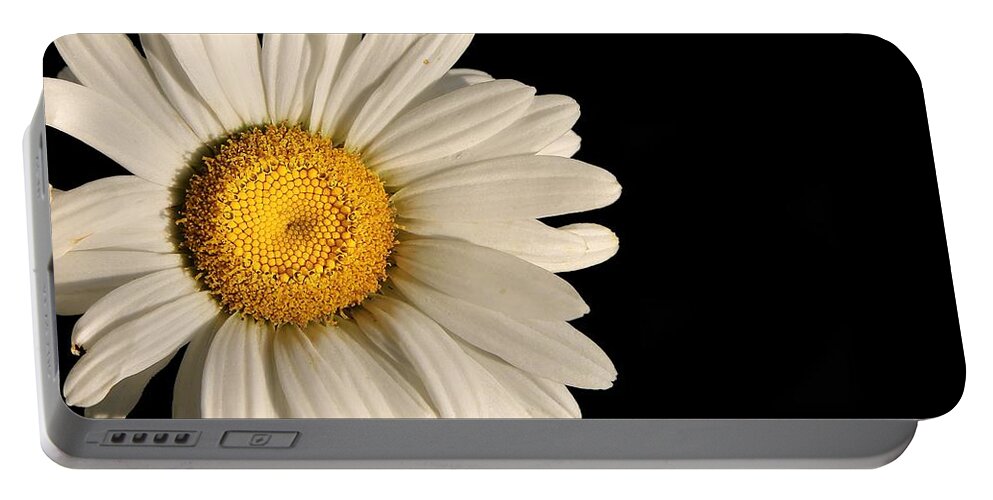 Beauty Portable Battery Charger featuring the photograph A Flower Named Daisy by David Andersen