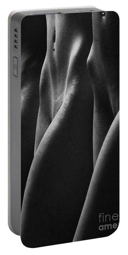 Artistic Portable Battery Charger featuring the photograph A forest of beauties by Robert WK Clark