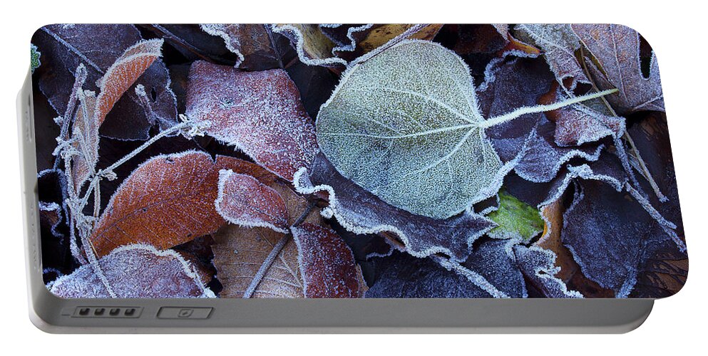 Leaves Portable Battery Charger featuring the photograph A Frosty November Morning by Mike Eingle