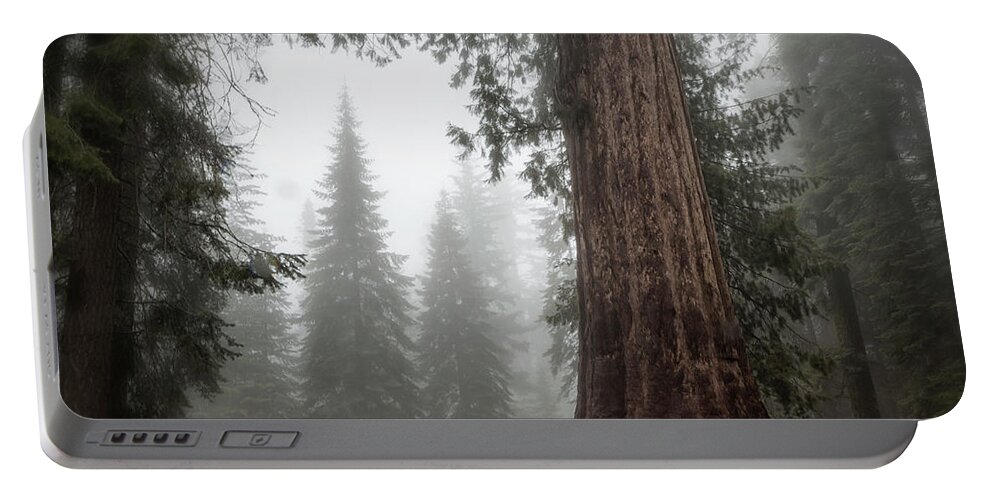 Sequoias Portable Battery Charger featuring the photograph A Giant in the Fog by Belinda Greb