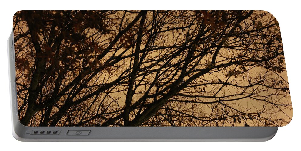Creepy Portable Battery Charger featuring the photograph A Haunted Sky by K R Burks
