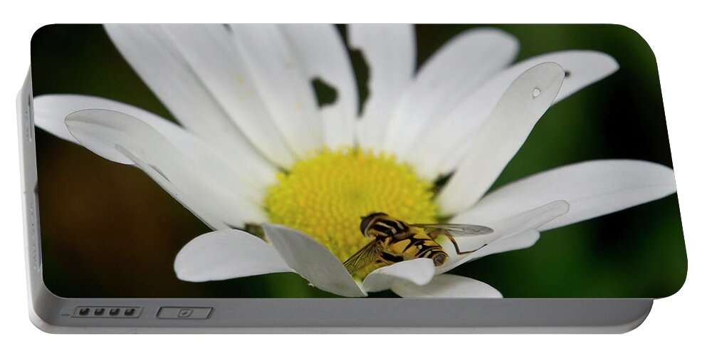 Nature Portable Battery Charger featuring the photograph A Hoverfly and a Daisy by Elena Perelman
