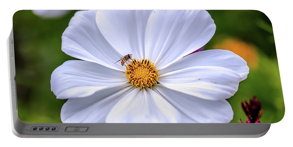 Flower Portable Battery Charger featuring the photograph A Hoverfly in flower #e3 by Leif Sohlman