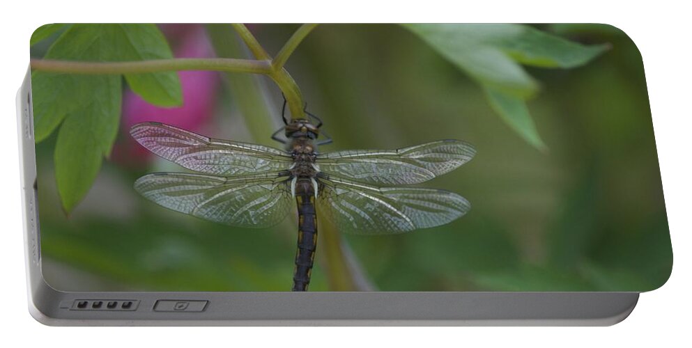 Dragon Fly Portable Battery Charger featuring the photograph A Killer in the Air by Hella Buchheim