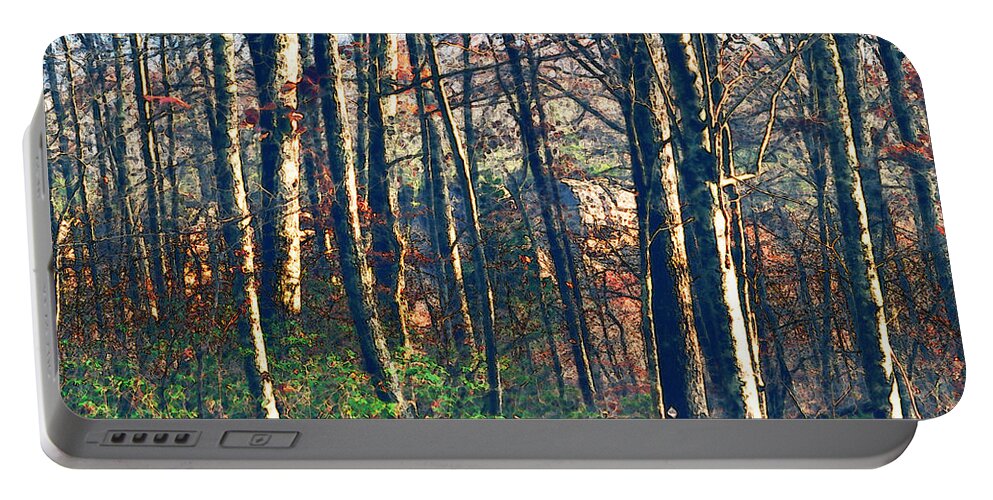 Nature Portable Battery Charger featuring the photograph A late Autumn Walk in the Woods by Stacie Siemsen