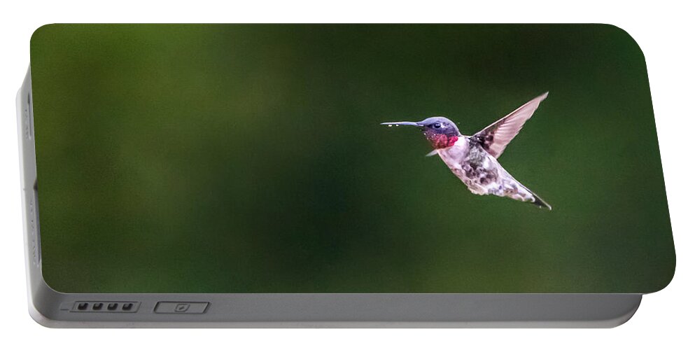Bird Portable Battery Charger featuring the photograph A Little Something on the Chin by Steven Santamour