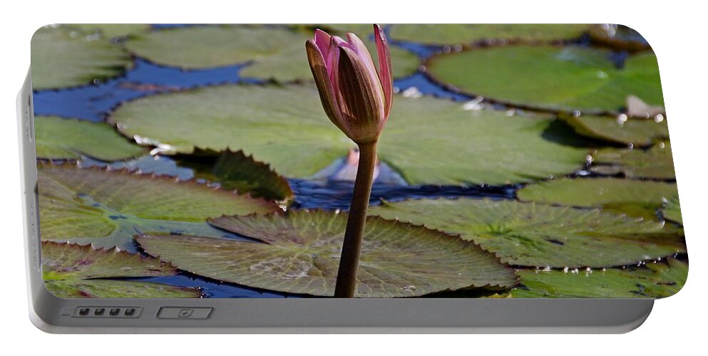 Water Lily Portable Battery Charger featuring the photograph A Lonely Vigil by Michiale Schneider
