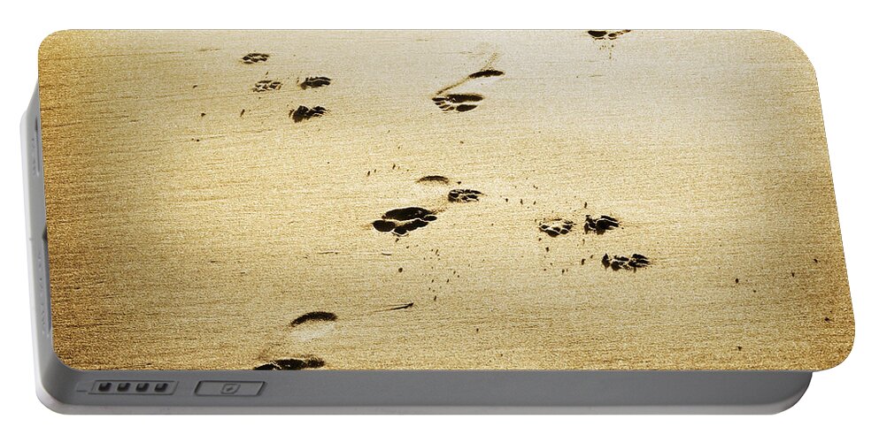 Footprint Portable Battery Charger featuring the photograph A Man and His Dog by Marilyn Hunt