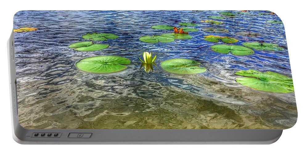 Lilies Portable Battery Charger featuring the photograph A Monet Moment by Nick Heap
