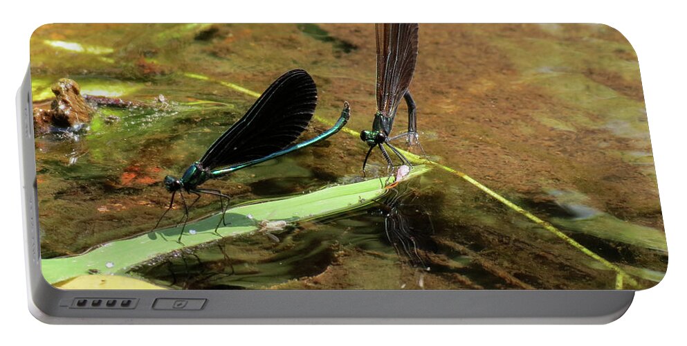Damselfly Portable Battery Charger featuring the photograph A pair alight by Azthet Photography
