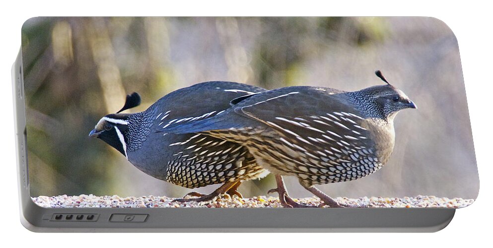 Photography Portable Battery Charger featuring the photograph A Pair of Quail by Sean Griffin