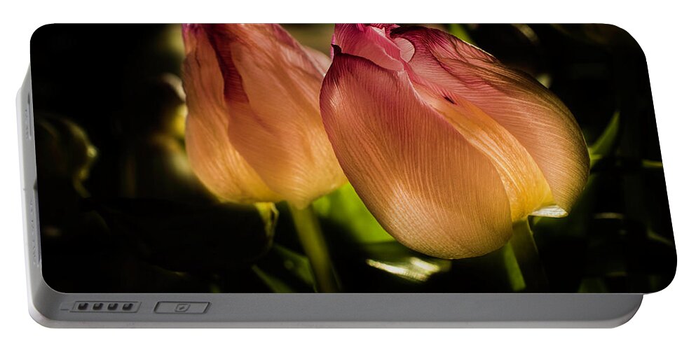 Wostphoto Portable Battery Charger featuring the photograph A pair of Tulips by Wolfgang Stocker