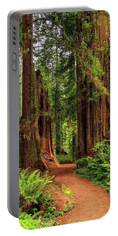 Path Portable Battery Charger featuring the photograph A Path Through The Redwoods by James Eddy