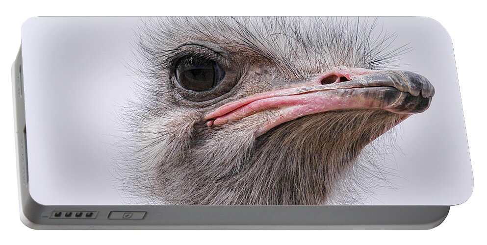 Ostrich Portable Battery Charger featuring the photograph A Penny For Your Thoughts by Becky Titus
