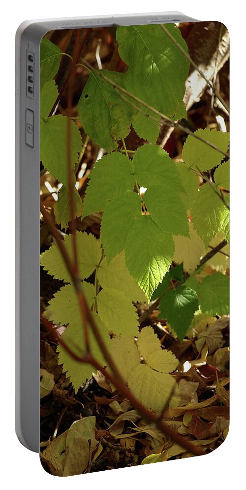 Fall Portable Battery Charger featuring the photograph A Plant's Various Colors Of Fall by DeeLon Merritt