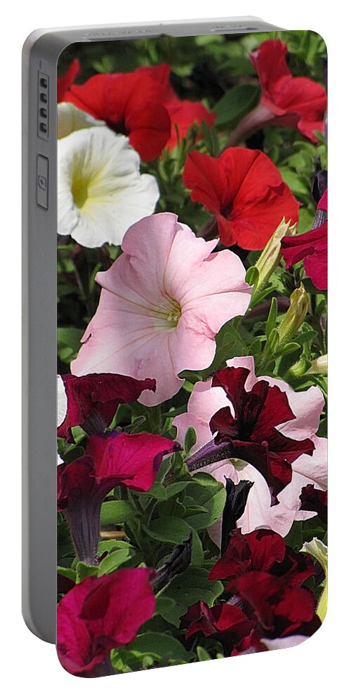 Petunia Portable Battery Charger featuring the photograph A Plethora of Petunias by Cheryl Charette
