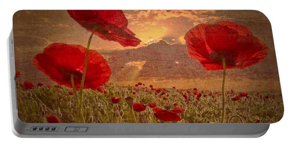 Appalachia Portable Battery Charger featuring the photograph A Poppy Kind of Morning by Debra and Dave Vanderlaan