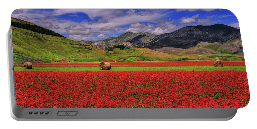 Castelluccio Portable Battery Charger featuring the photograph A poppyy dream by Midori Chan