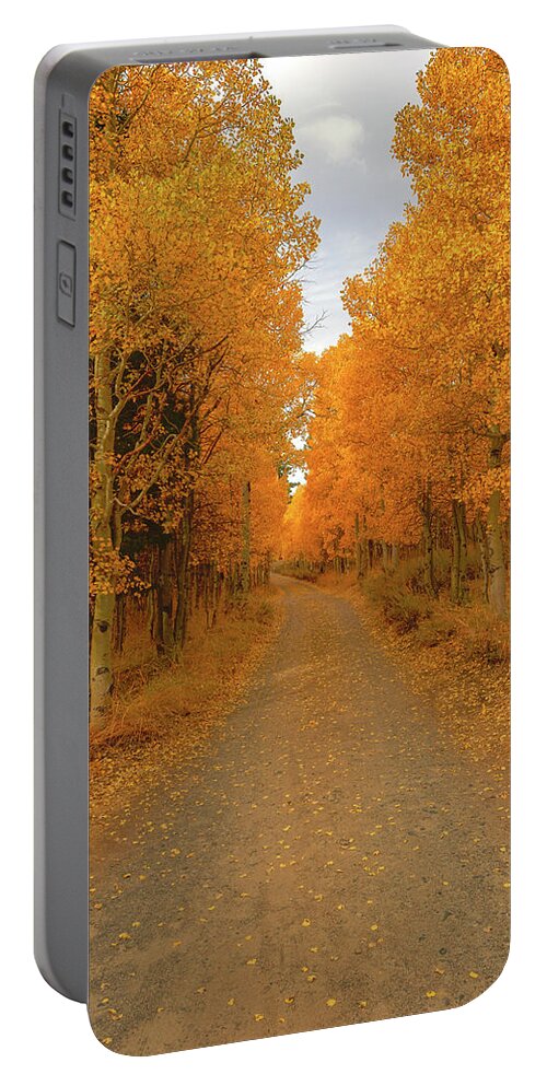 Aspens Portable Battery Charger featuring the photograph A Road of Imagination by Dennis Bolton