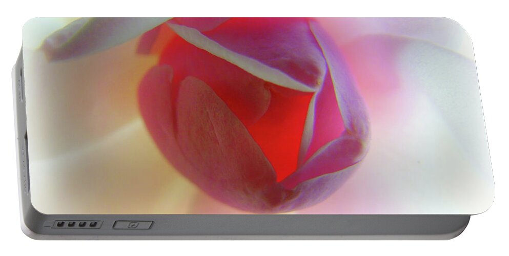 Soft Pink Flower Portable Battery Charger featuring the photograph A Rosy Glow by Susan Lafleur