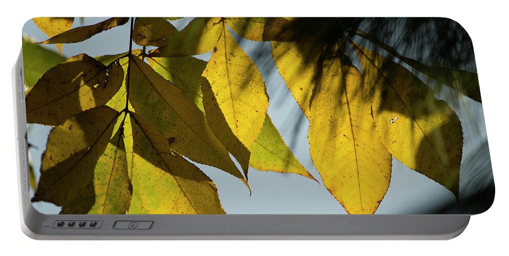 Fall Leaves Portable Battery Charger featuring the photograph A Season Of Change by Mike Eingle