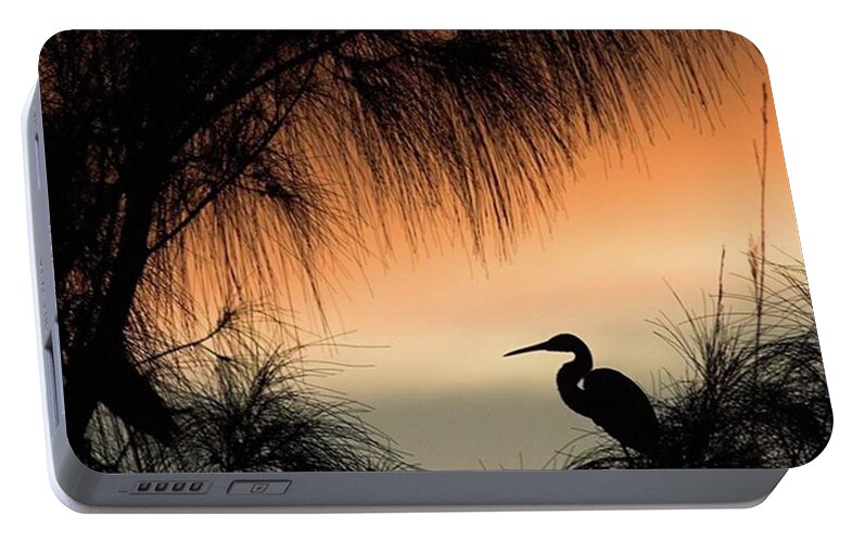 Egret Portable Battery Charger featuring the photograph A Snowy Egret (egretta Thula) Settling by John Edwards