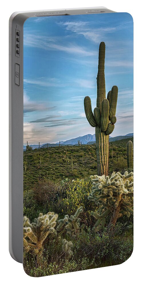 Saguaro Cactus Portable Battery Charger featuring the photograph A Spring Evening in the Sonoran by Saija Lehtonen