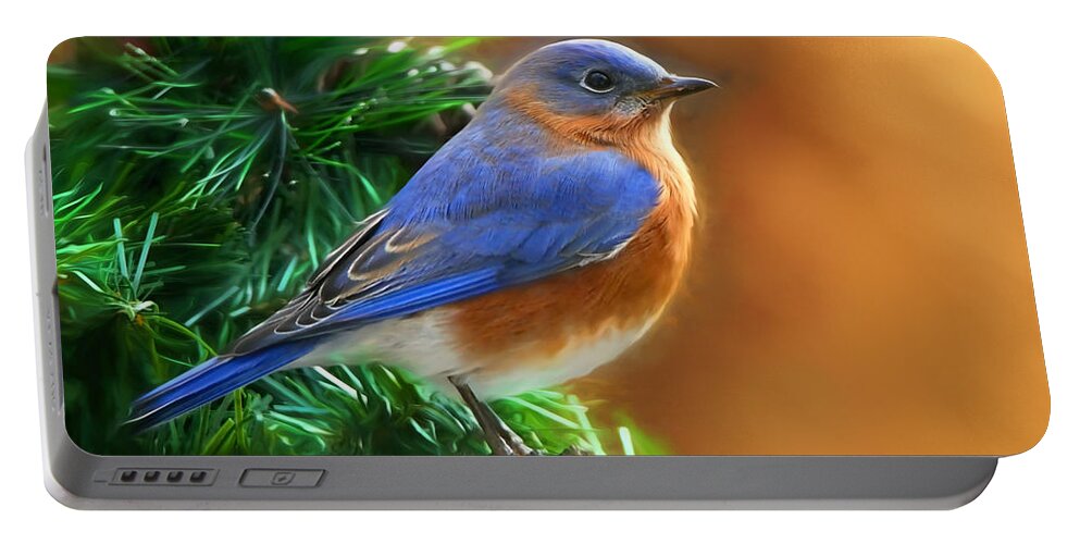 Bluebird Portable Battery Charger featuring the photograph A Still Moment by Tina LeCour