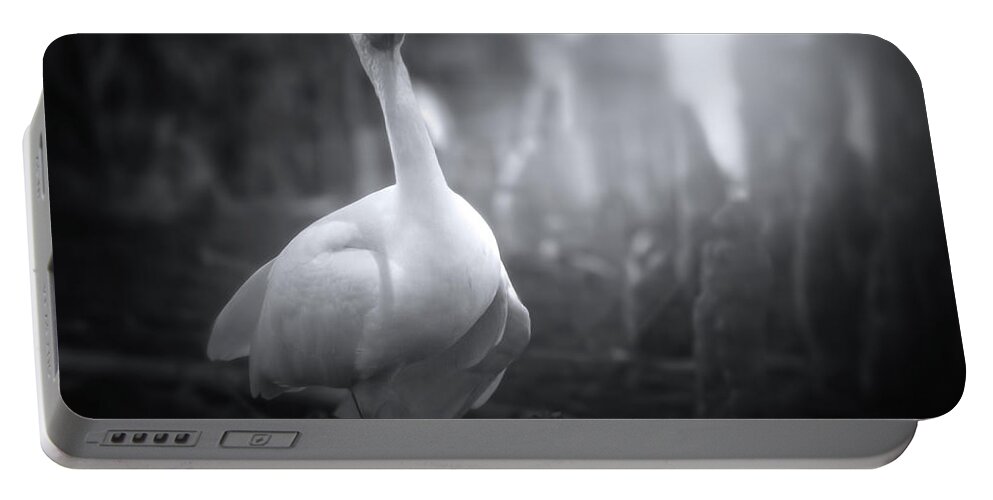 Ibis Portable Battery Charger featuring the photograph A Stroll Through The Forest by Mark Andrew Thomas