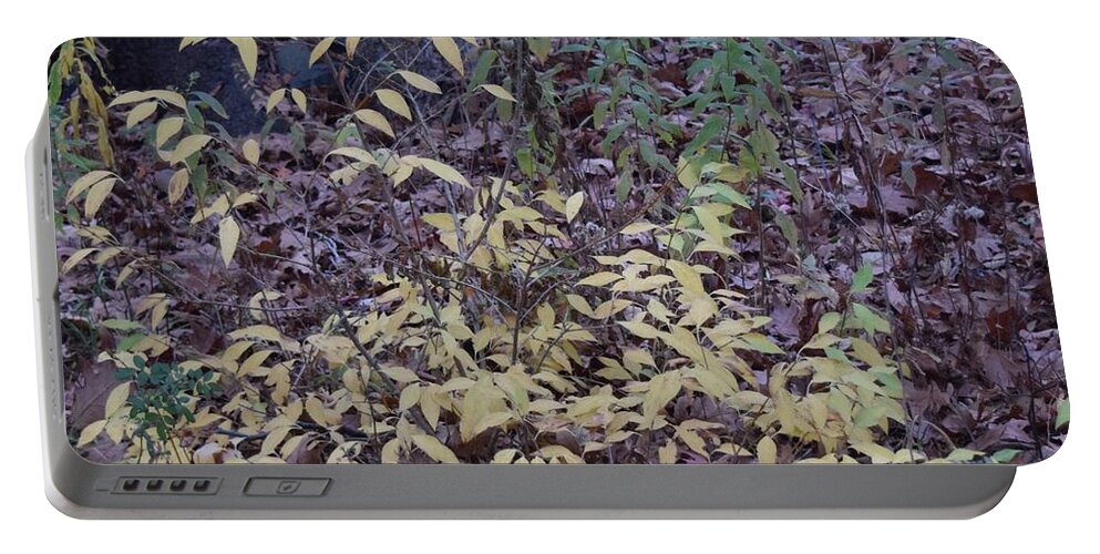  Portable Battery Charger featuring the digital art A Subtle Fall by R Allen Swezey