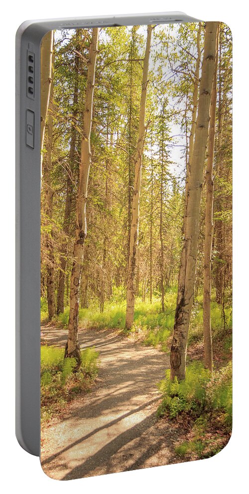 Alaska Portable Battery Charger featuring the photograph A Sunny Day Hiking in Denali by Joni Eskridge