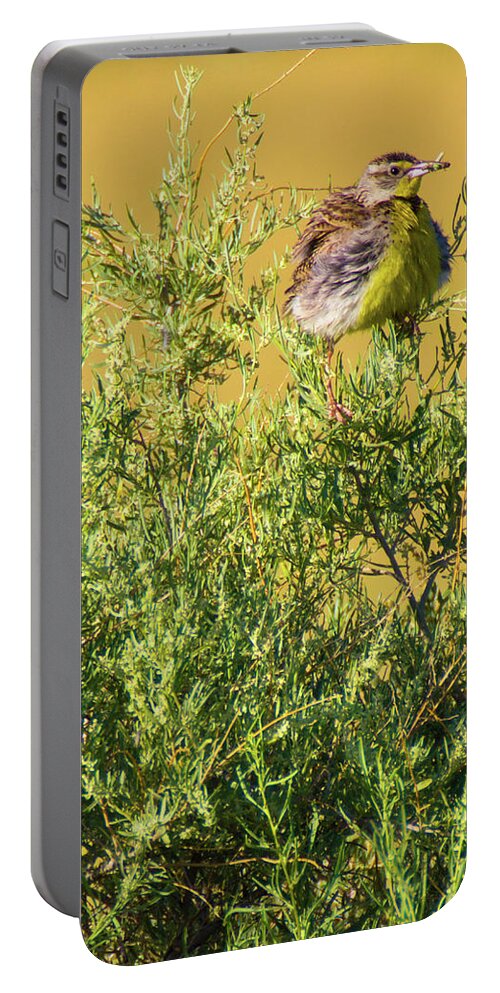 Chatfield State Park Portable Battery Charger featuring the photograph A Tad Ruffled by John De Bord