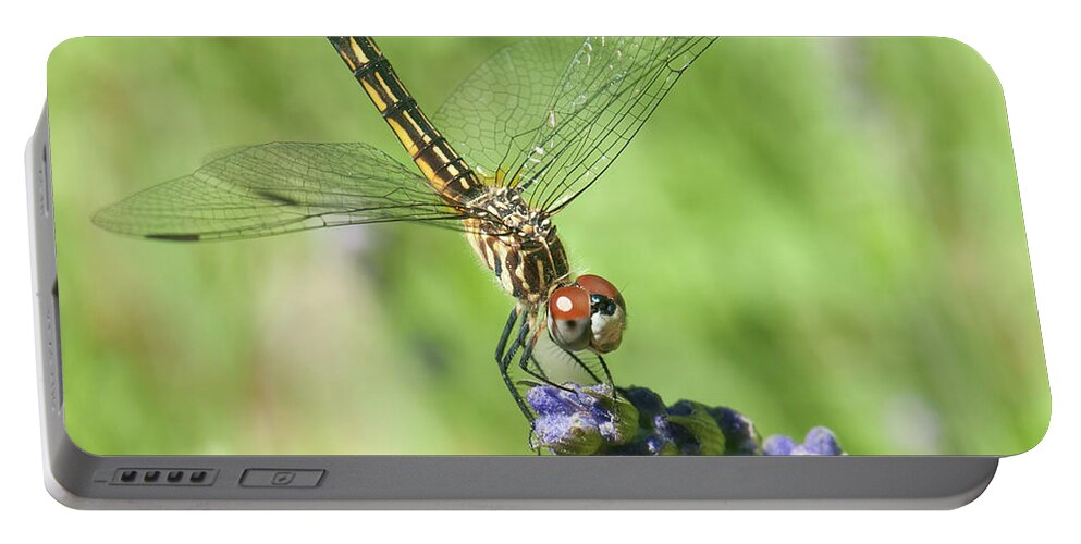 Dragon Fly Portable Battery Charger featuring the photograph A Taste Of Lavender by Jean-Pierre Ducondi