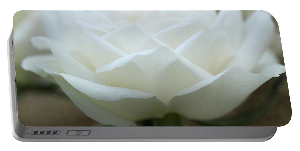 Connie Handscomb Portable Battery Charger featuring the photograph A Thousand Petals by Connie Handscomb