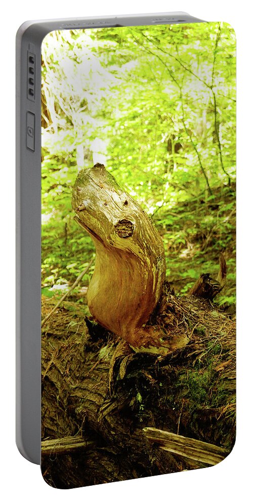 Adventures Portable Battery Charger featuring the photograph A Tree Seal by Tim Dussault