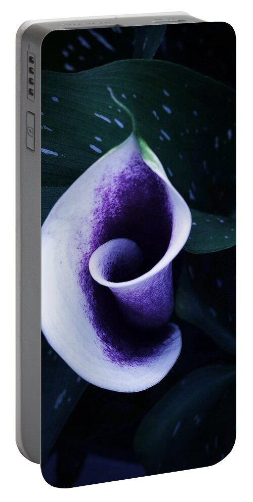 Lily Portable Battery Charger featuring the photograph A Twist by Kathleen Messmer