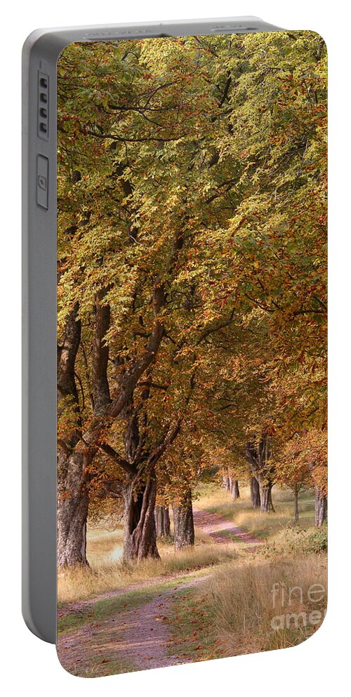 France Portable Battery Charger featuring the photograph A walk in the countryside by Howard Ferrier