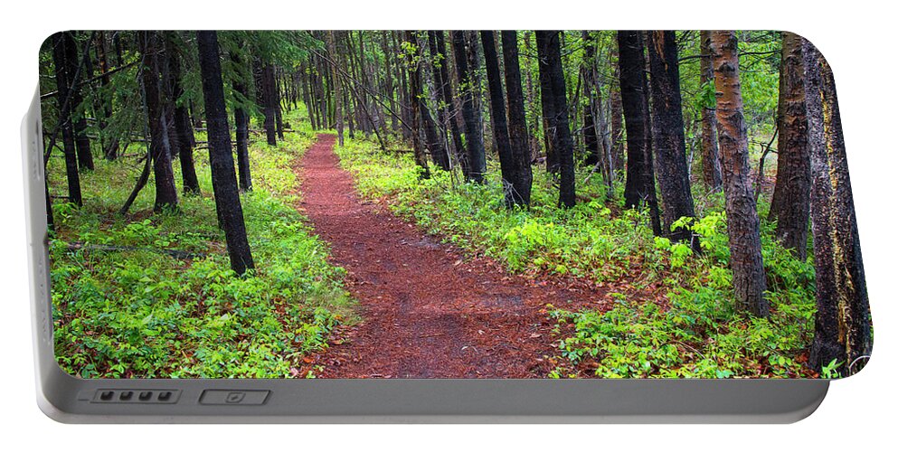 Forest Portable Battery Charger featuring the photograph A walk in the Forest by Bill Cubitt