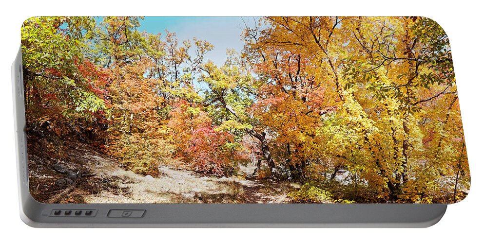 Guadalupe Portable Battery Charger featuring the photograph A Walk through the Maple Forest Deep in McKittrick Canyon - Guadalupe Mountains National Park Texas by Silvio Ligutti