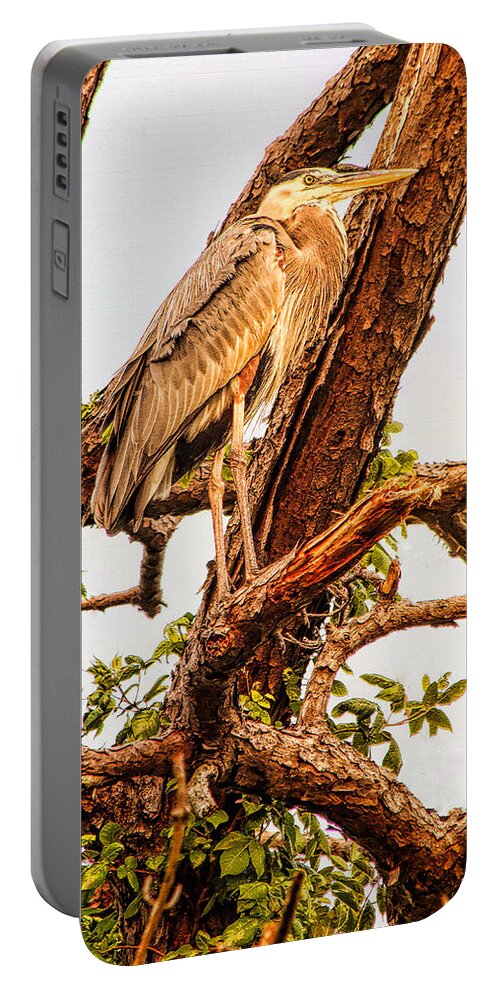 Heron Portable Battery Charger featuring the photograph Above the Fray by Ola Allen