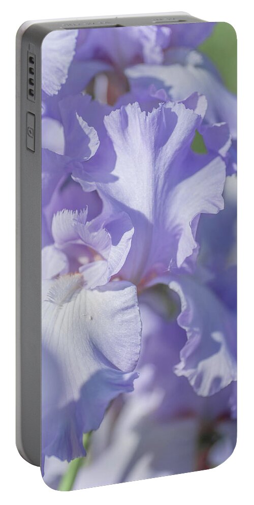 Jenny Rainbow Fine Art Photography Portable Battery Charger featuring the photograph Absolute Treasure CloseUp 2. The Beauty of Irises by Jenny Rainbow