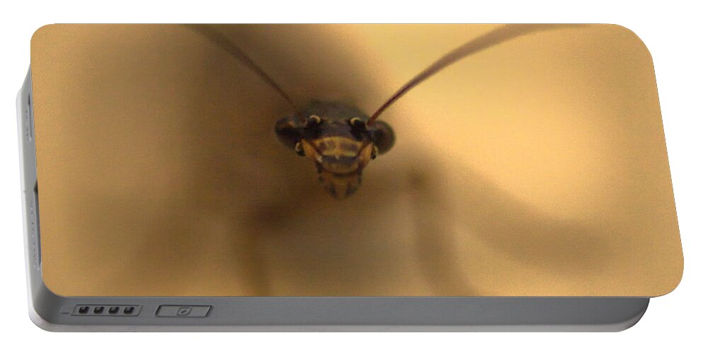 Bug Portable Battery Charger featuring the photograph Abstract Bug by Shawn Jeffries