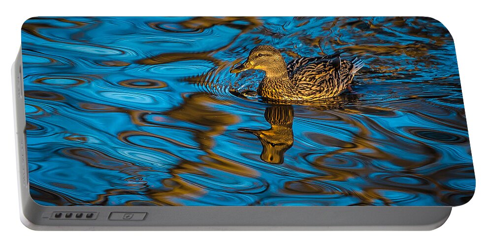 Csp Portable Battery Charger featuring the photograph Abstract Duck by David Downs