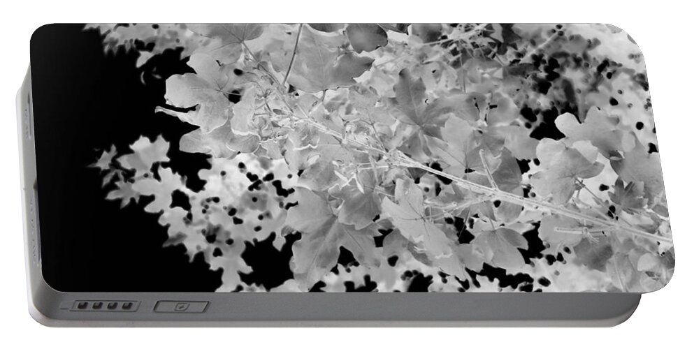 Abstract Landscape Portable Battery Charger featuring the photograph Abstract Tree Landscape Dark Botanical Art Black Noir by Itsonlythemoon -